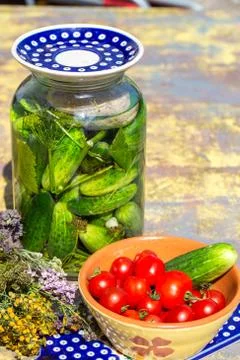 Pickled cucumbers with herbs Stock Photos