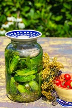 Pickled cucumbers with herbs Stock Photos