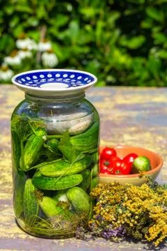 Pickled cucumbers with herbs Stock Photos