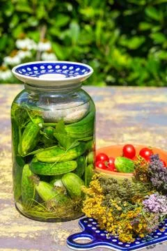 Pickled cucumbers with herbs Stock Photos