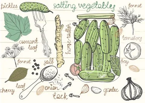 Pickled cucumbers Stock Illustration