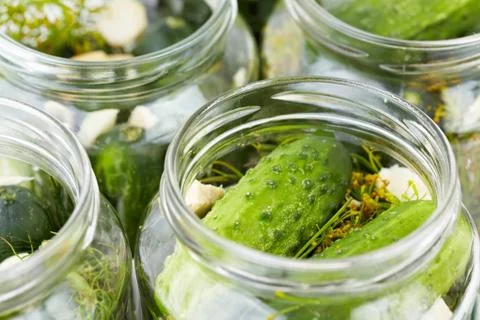 Pickled cucumbers in jar close-up 스톡 사진