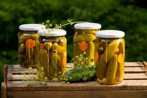 Pickled cucumbers Stock Photos