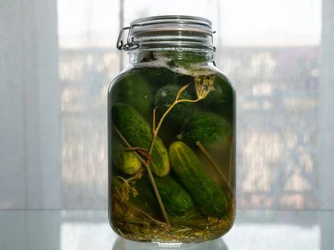 Pickled cucumbers - stand on the table in the window, blurry light background Stock Photos