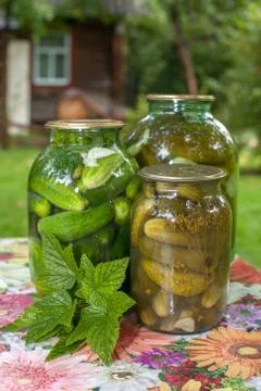 Pickled cucumbers on a table in the village Stock Photos