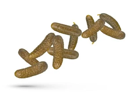 Pickled cucumbers on a white isolated background. Cucumbers of different sizes Foto stock