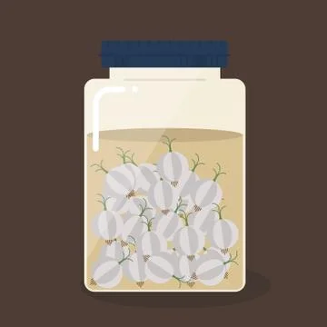 Pickled garlic Stock Illustration