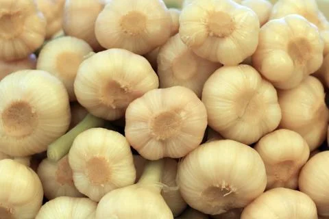 Pickled garlic Stock Photos