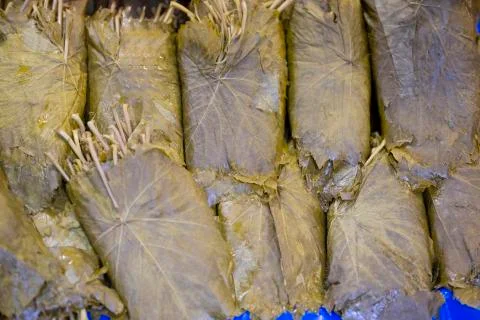 Pickled grape leaves close-up. Stock Photos