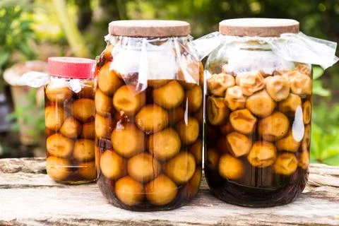 Pickled lemon in a glass jar Stock Photos