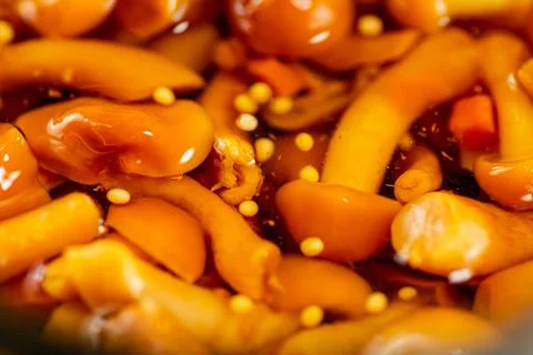 Pickled mushroom. Macro background. The texture of mushrooms. Stock Photos