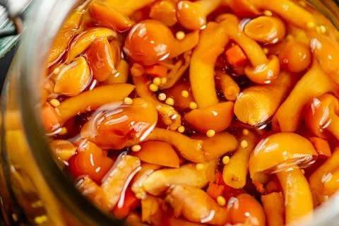 Pickled mushroom. Macro background. The texture of mushrooms. Stock Photos