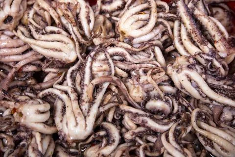 Pickled octopus Stock Photos