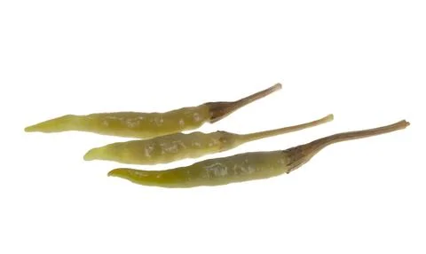 Pickled pepper isolated Stock Photos