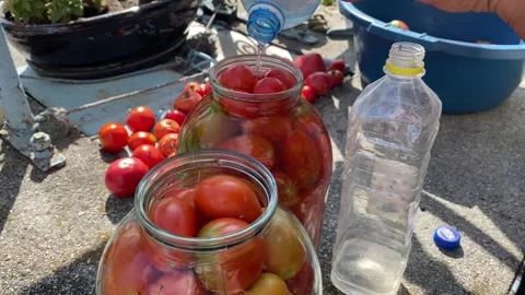 Pickled tomatoes preparation with brine being poured into jars Stock Footage 316539693