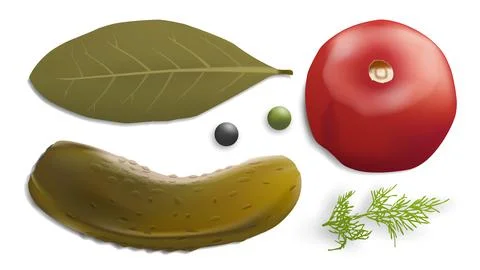 Pickled vegetables vector image. Gherkin, dill pepper tomato bay leaf. 3d vector Illustrazione stock