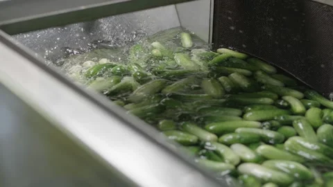 Pickles Cucumbers Video stock 288847955