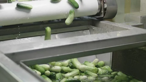 Pickles Gherkins Video stock 288847808