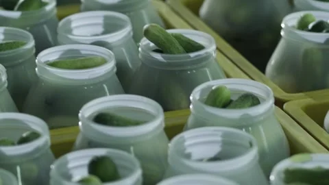 Pickles Gherkins Video stock 288847829