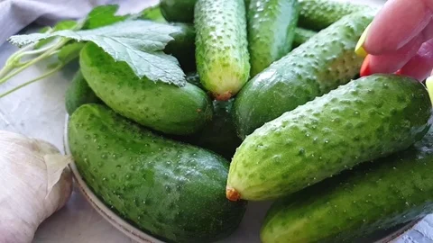 Pickles, pepper on a concrete background Stock Footage 121147478