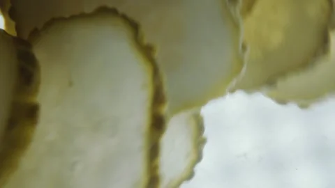 Pickles Sliced for a Burger Being Prepared in a Commercial Kitchen Setting 库存影片 331101043
