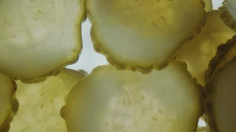 Pickles Sliced into Round Pieces Floating in Water Close Up 库存影片 331101027