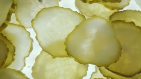 Pickles Sliced into Thin Rounds for a Delicious Homemade Burger Topping 库存影片 331101026
