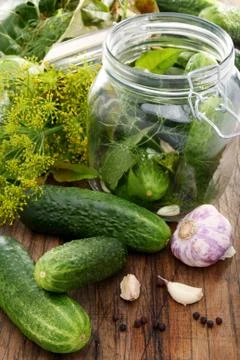 Pickling cucumbers. Stock Photos