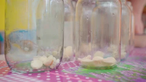 Pickling cucumbers. the process of placing cucumbers in jars. 스톡 동영상 245984398