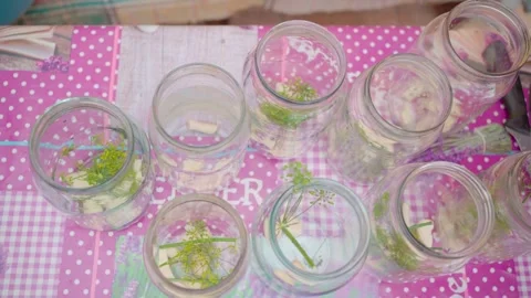 Pickling cucumbers. the process of placing cucumbers in jars. 스톡 동영상 245984414