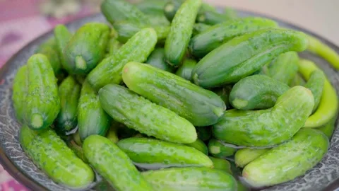Pickling cucumbers. the process of placing cucumbers in jars. 스톡 동영상 245984417