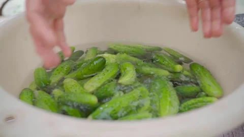 Pickling cucumbers. the process of placing cucumbers in jars. 스톡 동영상 245984429