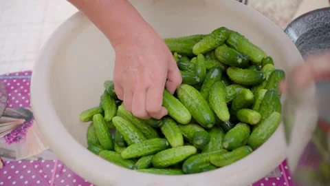 Pickling cucumbers. the process of placing cucumbers in jars. 스톡 동영상 245984439