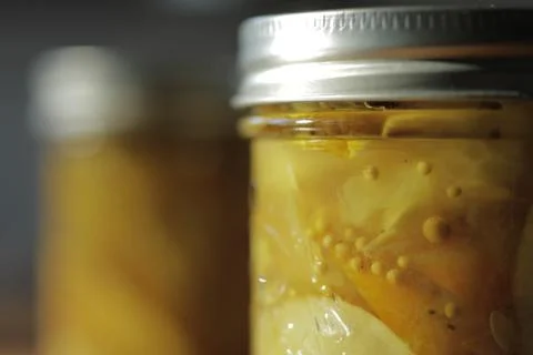 PICKLING LEMON CUCUMBERS Stock Photos