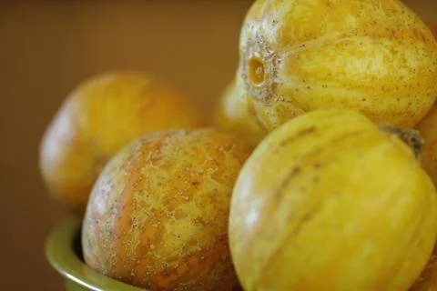 PICKLING LEMON CUCUMBERS Stock Photos