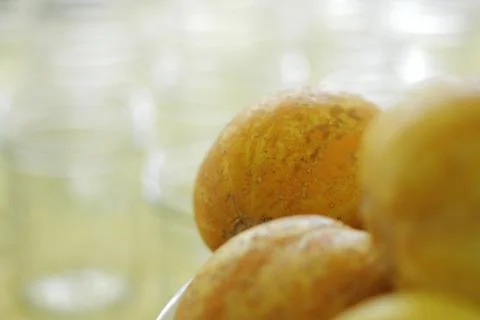 PICKLING LEMON CUCUMBERS Stock Photos