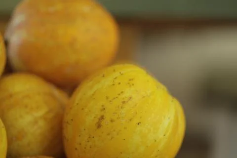 PICKLING LEMON CUCUMBERS Stock Photos