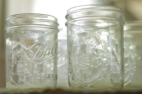 PICKLING LEMON CUCUMBERS Stock Photos