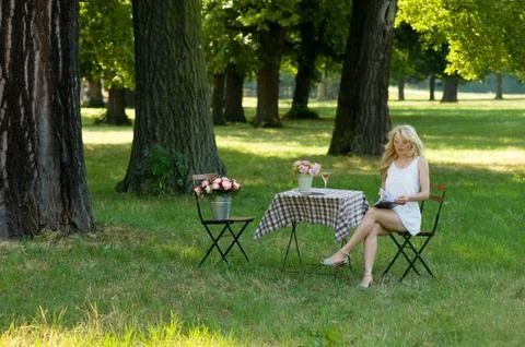 Picknick 스톡 사진