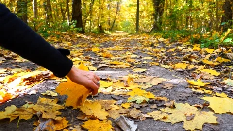 Picks up Stock Footage 97410176