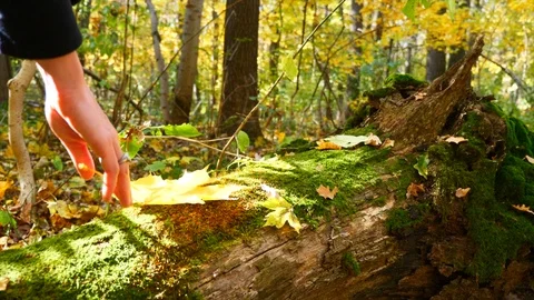 Picks up Stock Footage 97410189