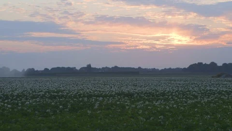 Pickup On Farmland Stock Footage 81957298