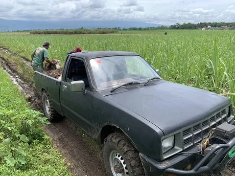 Pickup in the garden Stock-Fotos