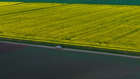 Pickup moving along road between blooming rapeseed fields and tilled soil on Stock Footage 311932909