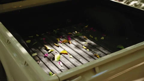 Pickup Truck Bed Covered with Fallen Leaves and Flowers in Sunlight Stock Footage 303869764