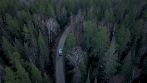 Pickup truck view from the sky in the forest Stock Footage 334272197