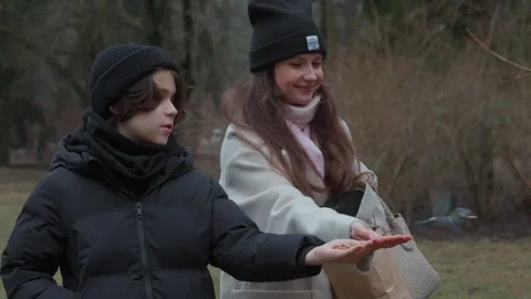 A picky titmouse selects its favorite food from a child's palm Stock Footage 312335285