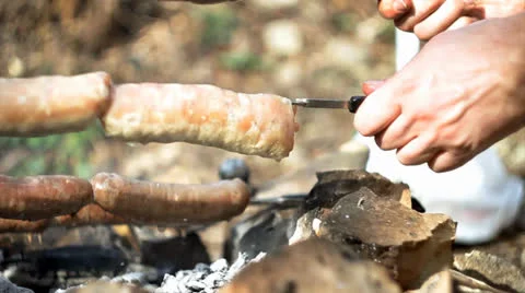 Picnic 004 Stock Footage 22610910