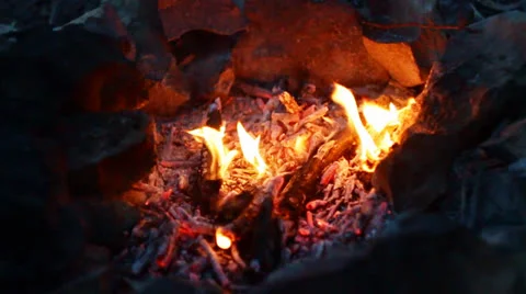 Picnic 006 Vídeos de archivo 22610987