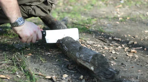 Picnic 010 Vídeos de archivo 22587487